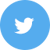 icon-twitter